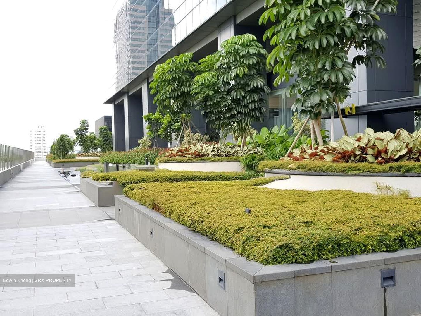 Vision Exchange (D22), Office #551247771